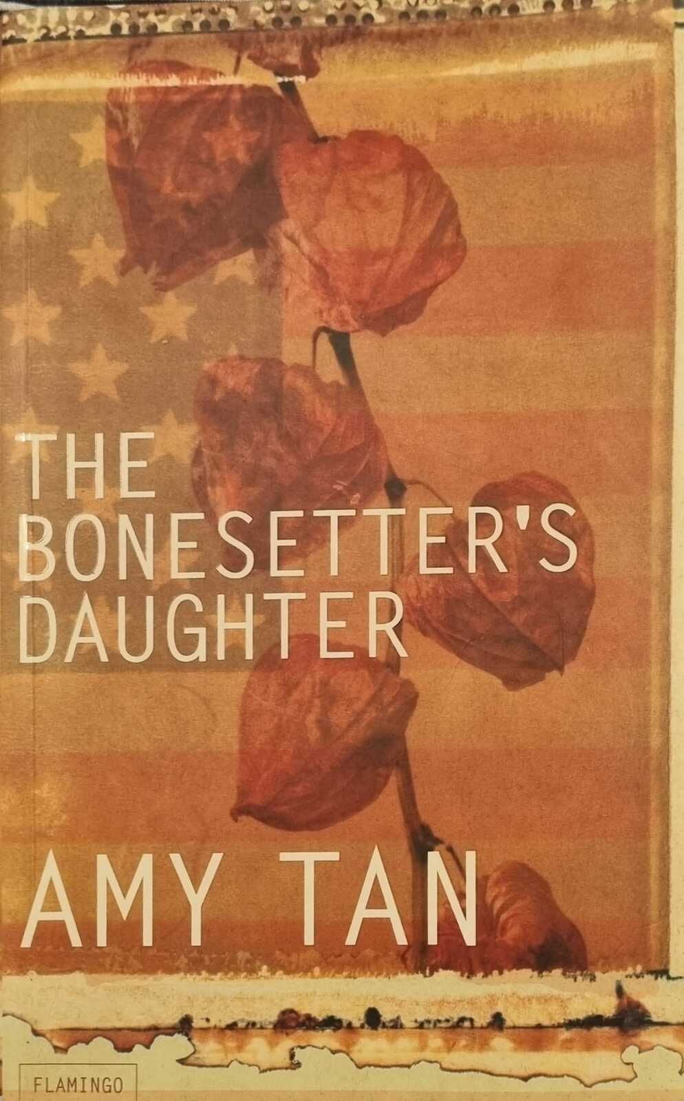 The Bonesetter's Daughter