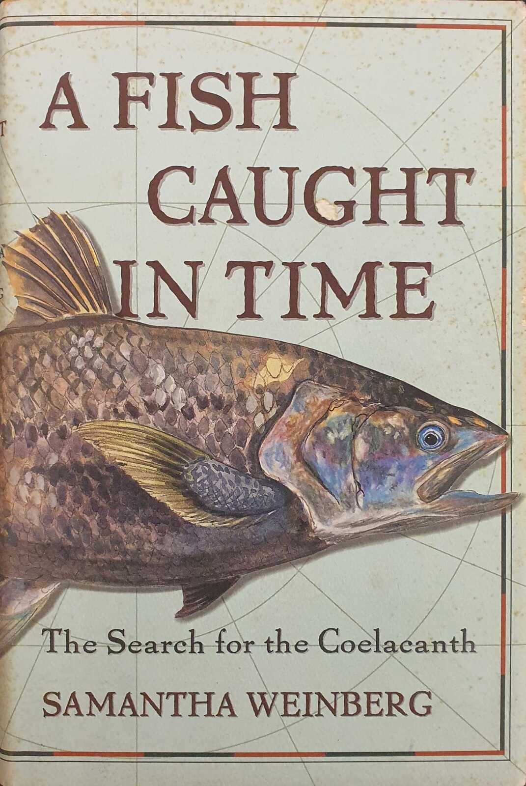 a-fish-caught-in-time