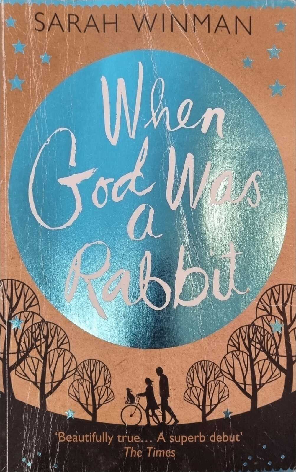 book review when god was a rabbit