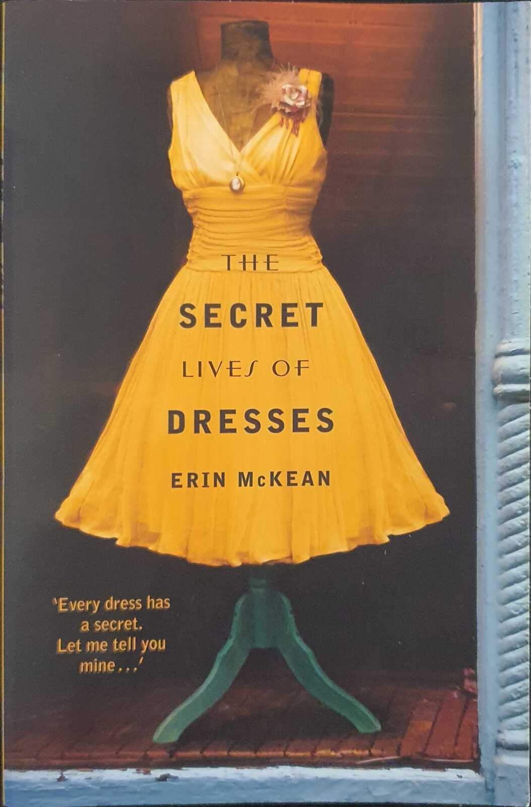 The Secret Lives of Dresses Erin Mckean 9781444720358