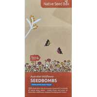 Native Seedbomb Box - Everlasting Daisy Fields