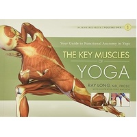 The Key Muscles of Yoga