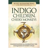 Indigo Children & Cheeky Monkeys: Understanding & Celebrating the Uniqueness of Every Child